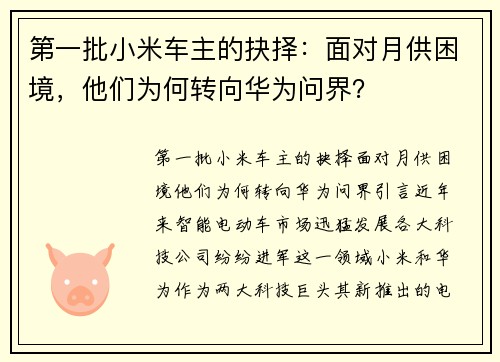 第一批小米车主的抉择：面对月供困境，他们为何转向华为问界？