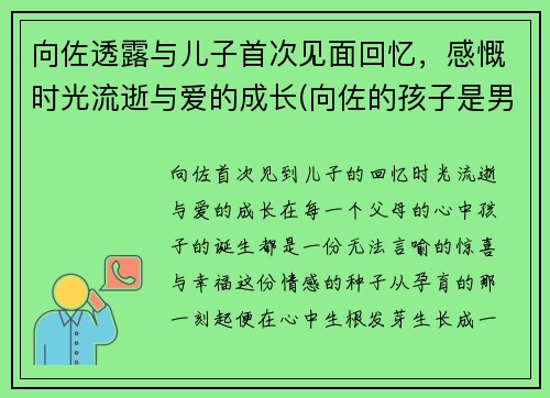 向佐透露与儿子首次见面回忆，感慨时光流逝与爱的成长(向佐的孩子是男孩还是女孩)